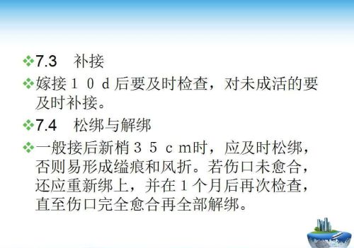 果树嫁接技术方法(果树嫁接的五种常用方法)