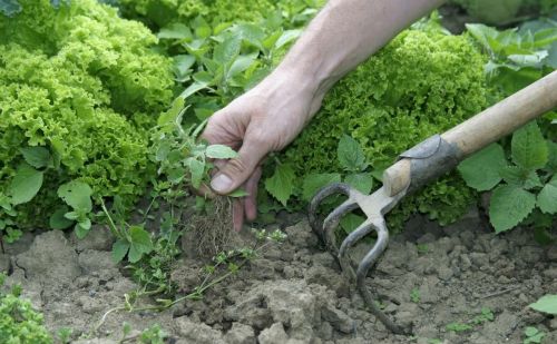 不同土壤质地的土壤如何进行改良和利用?(各类土壤改良方法)