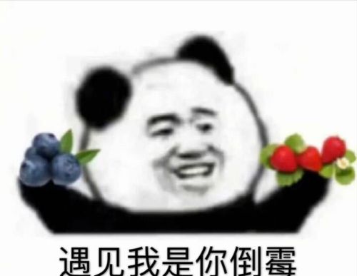 丫头子的结局是什么?(丫头子是什么意思)