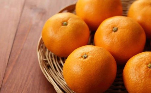 中国的橙子到底哪里的最好吃呢(中国的橙子到底哪里的最好吃又甜)