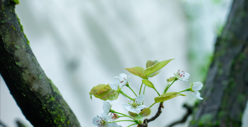 多希望你还在(多希望你还在这里,从不曾离去)