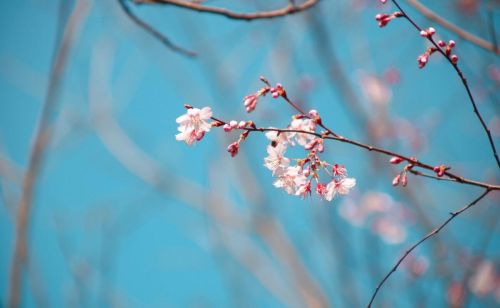 多希望你还在(多希望你还在这里,从不曾离去)