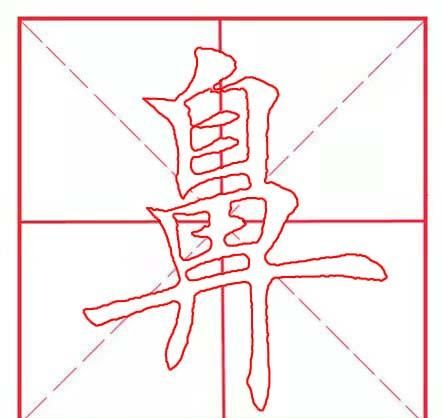 鼻字是什么意思(鼻 汉字)