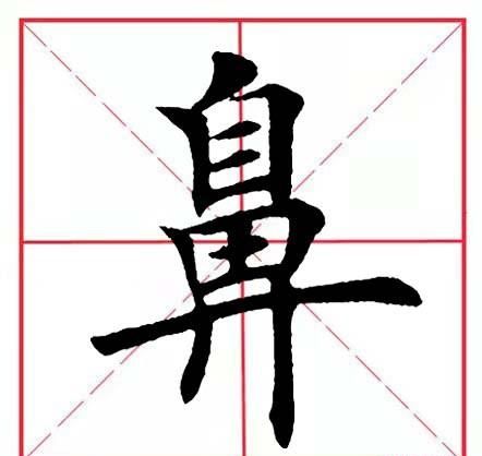 鼻字是什么意思(鼻 汉字)