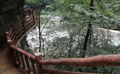 太白鸟道在哪(太白鸟道是啥意思)