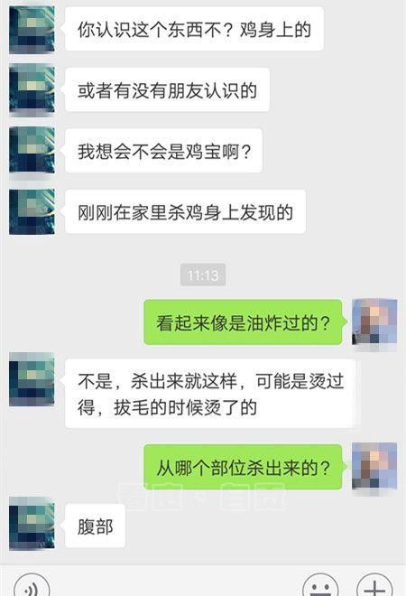 狗宝是啥玩意儿(狗宝是什么价格多少钱)