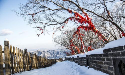 落雪白头下一句(落雪白头的诗句)