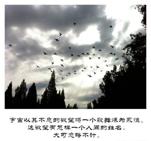 史铁生我与地坛经典语录开枪(史铁生经典语录)