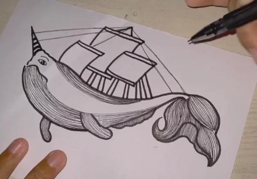 鲸鱼帆船插画(鲸鱼帆船黑白画)