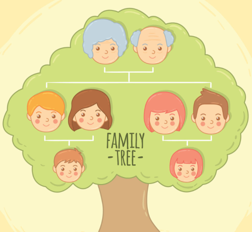 家族辈分的排列顺序图(家族辈分称呼大全)