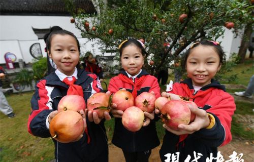 小学生劳动种植(劳动果实怎么写)