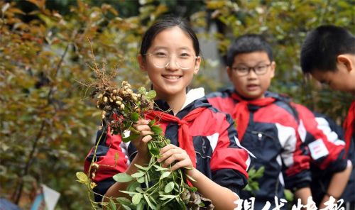 小学生劳动种植(劳动果实怎么写)