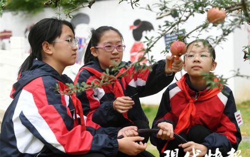 小学生劳动种植(劳动果实怎么写)