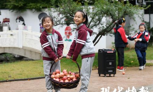 小学生劳动种植(劳动果实怎么写)