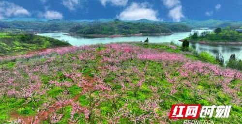 耒阳哪里有桃花看(湖南耒阳风景区)