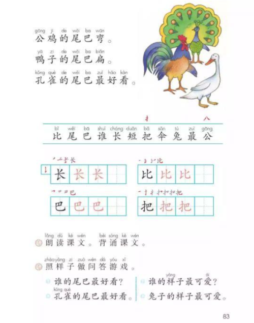 小学一年级课文《比尾巴》(一年级语文上册比尾巴课文讲解)