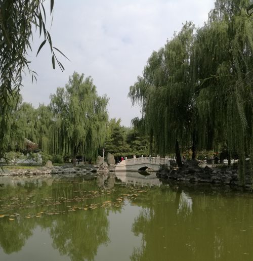北京的大观园是因为红楼梦后建的吗(北京大观园是为了拍红楼梦建的吗)