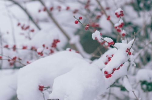 瑞雪兆丰年的下一句是啥(瑞雪兆丰年的俗语是什么意思)