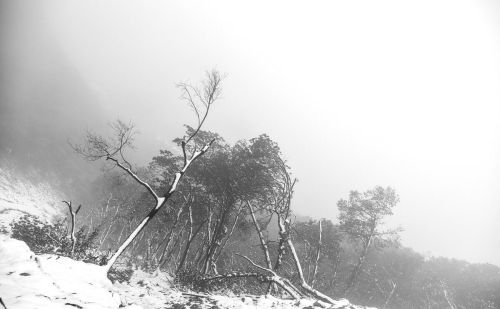 瑞雪兆丰年的下一句是啥(瑞雪兆丰年的俗语是什么意思)