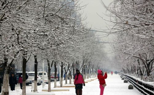 瑞雪兆丰年的下一句是啥(瑞雪兆丰年的俗语是什么意思)