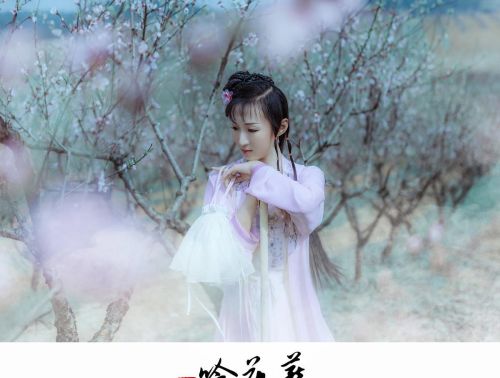 红楼梦插曲葬花吟陈力演唱(陈力原唱版《红楼梦》插曲《葬花吟》)