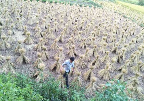 一起去爬山吗?是啥意思?(一起去爬山吗下一句怎么接)