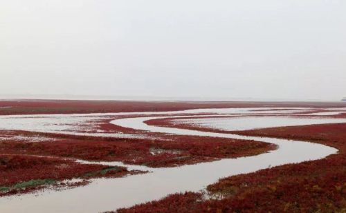 大海啊全是水下一句(大海啊全是水骏马啊四条腿)