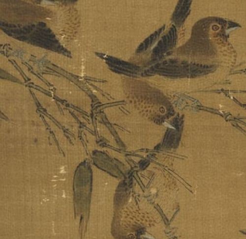 近百只鸟，多达36个以上可辨识品类——边景昭的《三友百禽图》