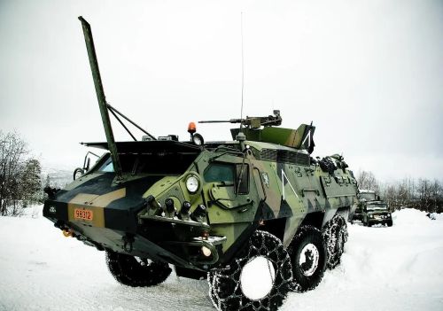 挪威陆军主力装备(挪威 军事)