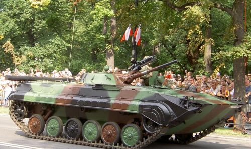 波兰陆军装备(波兰陆军装甲部队图片)