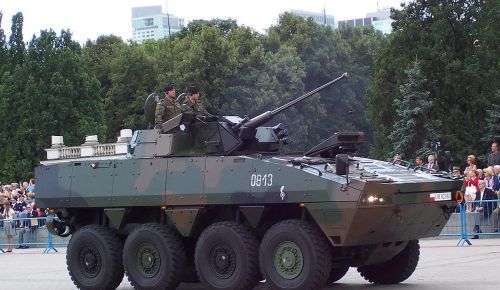 波兰陆军装备(波兰陆军装甲部队图片)