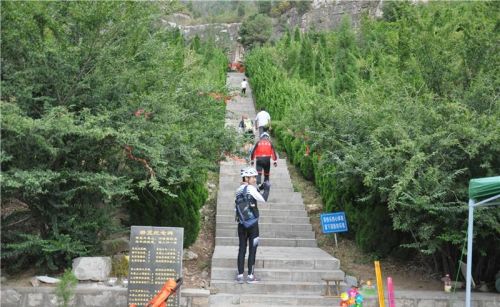 济宁第一高山凤凰山(济宁的凤凰山在哪里)