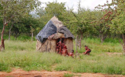 非州辛巴部落图片(非洲辛巴族是哪个国家)
