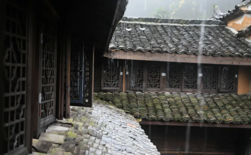 风雨云胡不喜(云胡不喜 风雨如晦)