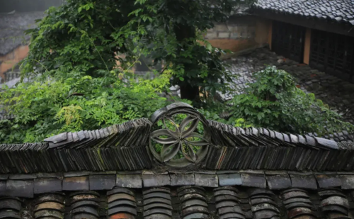 风雨云胡不喜(云胡不喜 风雨如晦)