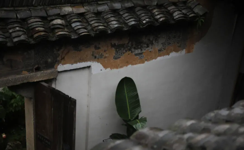 风雨云胡不喜(云胡不喜 风雨如晦)