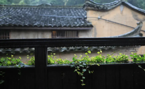 风雨云胡不喜(云胡不喜 风雨如晦)