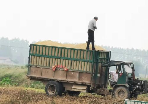 洞庭鱼米之乡是哪里(洞庭鱼米乡是哪个地区的民歌)