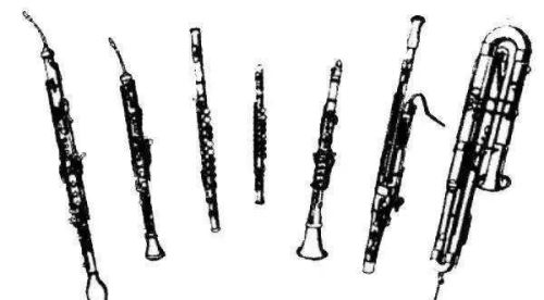 西洋木管乐器大全(西洋木管乐器组都有哪些乐器?)
