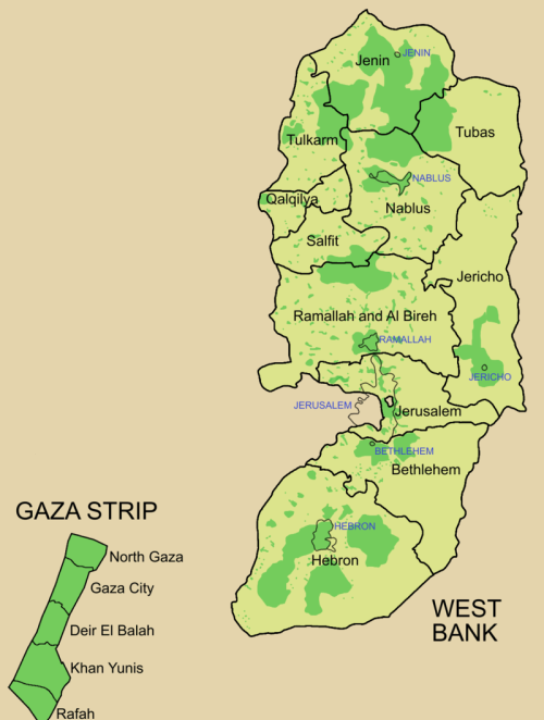 巴勒斯坦加沙和西岸(巴勒斯坦 加沙地带)