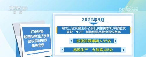 加强知识产权刑事保护 公安部公布10起典型案例