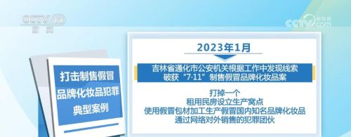 加强知识产权刑事保护 公安部公布10起典型案例