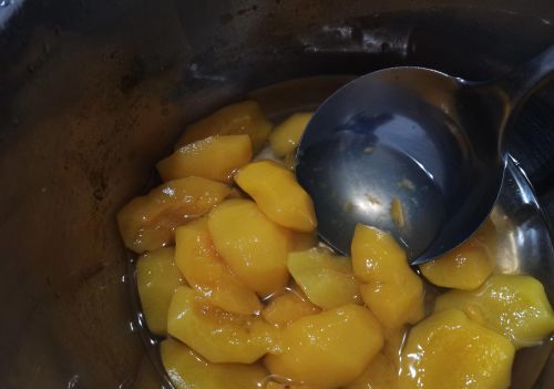 自制黄桃罐头方法(自制黄桃罐头的制作方法)