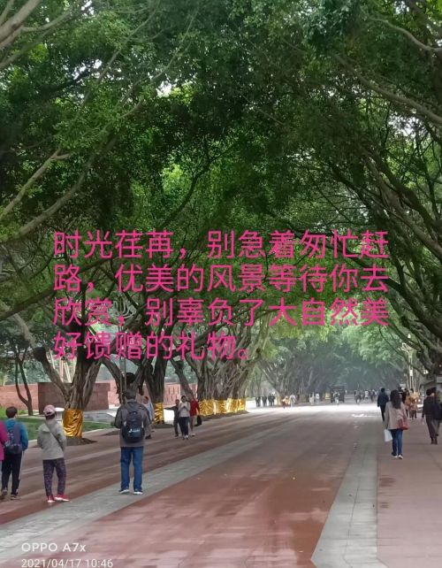 生命的长度与宽度名言(生命的长度是有限的但生命的宽度)