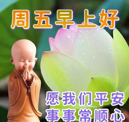 早上好漂亮祝福图片大全大图(早上好漂亮祝福图片大全高清)