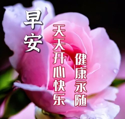 早上好漂亮祝福图片大全大图(早上好漂亮祝福图片大全高清)