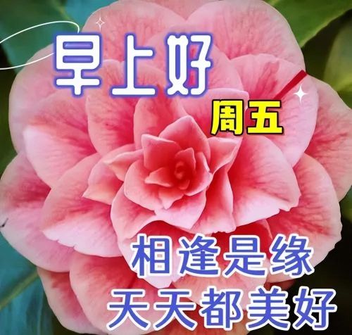 早上好漂亮祝福图片大全大图(早上好漂亮祝福图片大全高清)