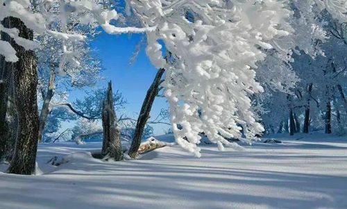 长白山长年积雪(长白山终年积雪)