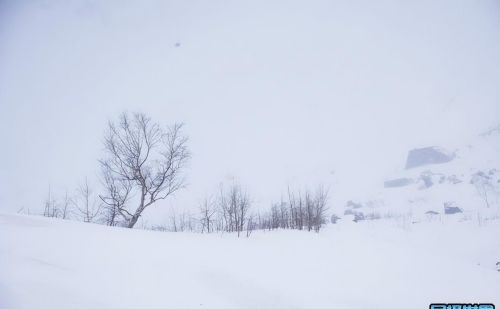 长白山长年积雪(长白山终年积雪)