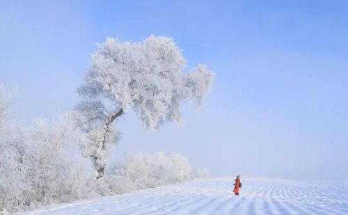 长白山长年积雪(长白山终年积雪)